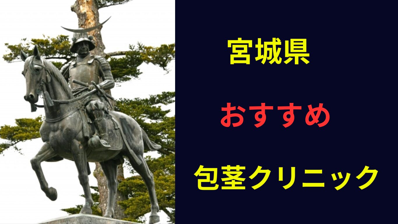 仙台 包茎手術 おすすめ